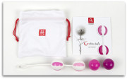 fun_toys_geisha_balls_contents__60740.1389988111.1280.1280