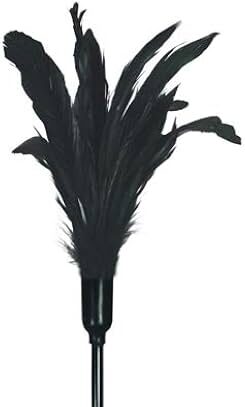 Starburst Feather Teaser - Black - Sportsheets