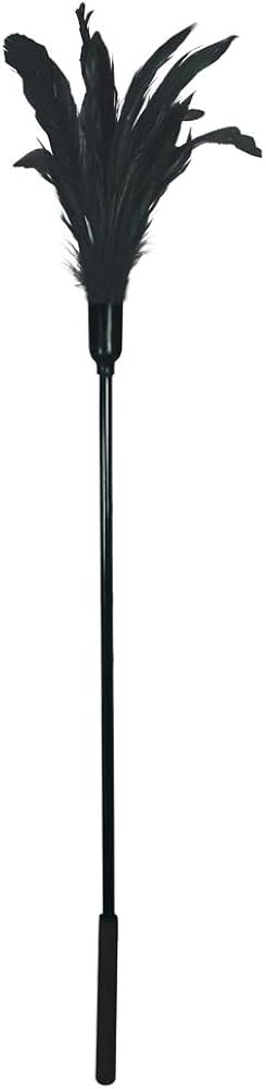 Starburst Feather Teaser - Black - Sportsheets