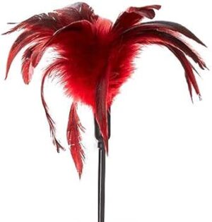 Starburst Feather Teaser - Red - Sportsheets