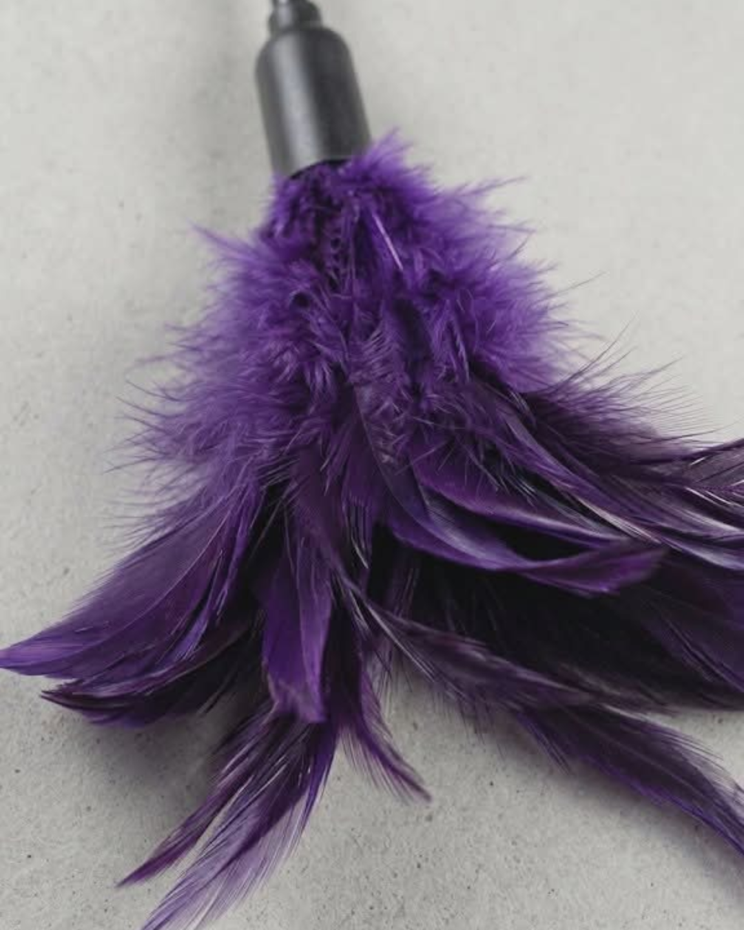 Starburst Feather Teaser - Purple - Sportsheets